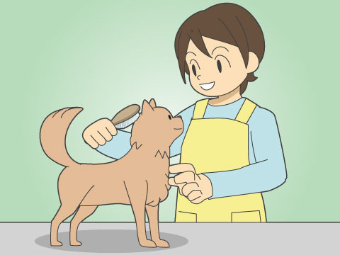 ペット・動物専門学校