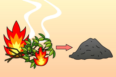 草木灰（そうもくばい）（ソウモクバイ）