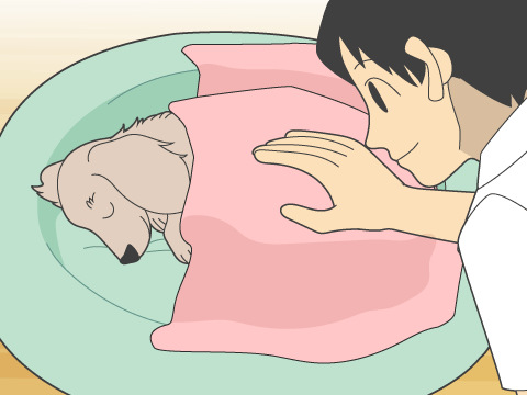 犬の寒さ対策