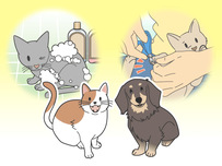 動物病院イラスト14