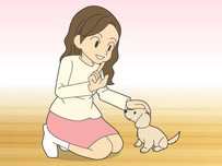 動物病院イラスト13