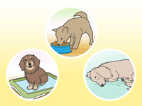 動物病院イラスト12