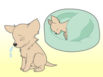 動物病院イラスト11