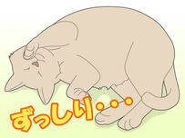 動物病院イラスト9
