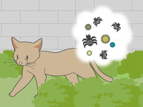 動物病院イラスト7