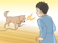 動物病院イラスト2