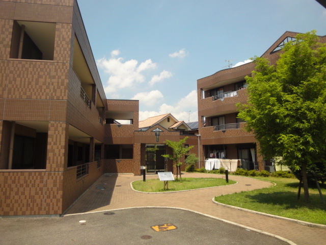摜