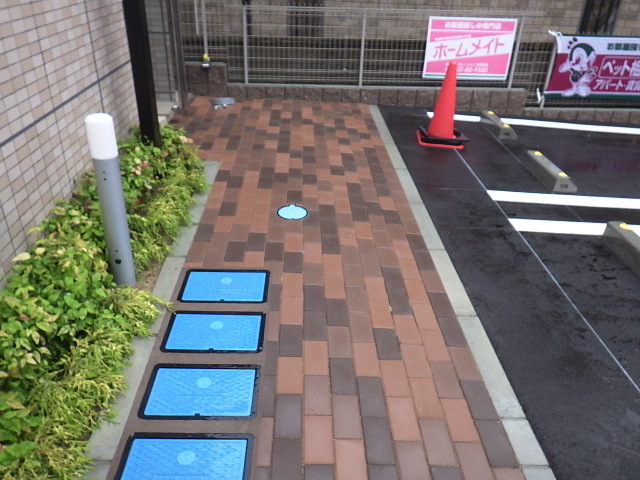 摜