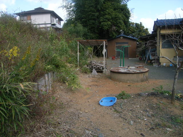 摜
