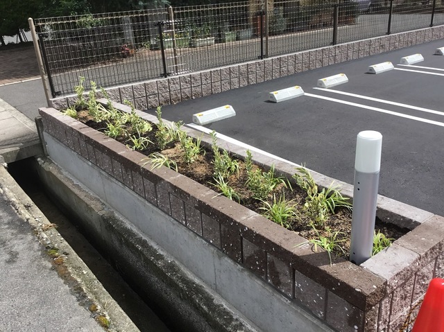 摜