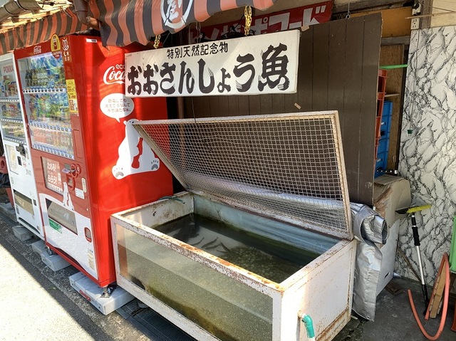 摜