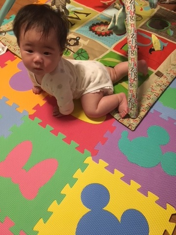 摜