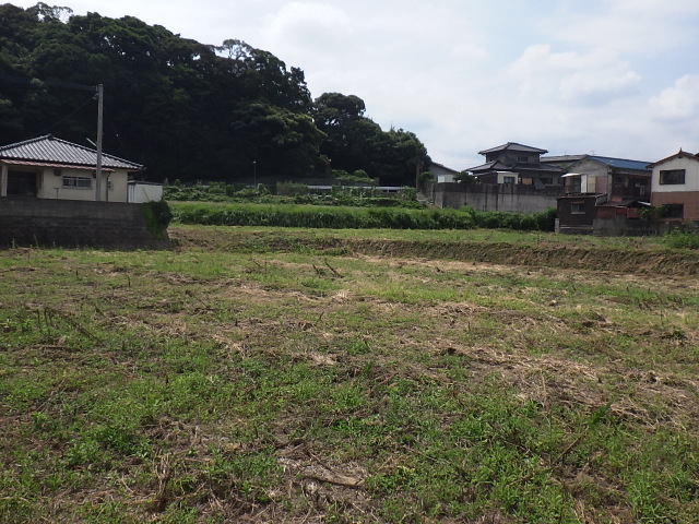 摜