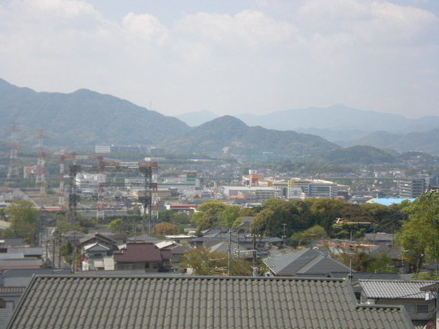 摜