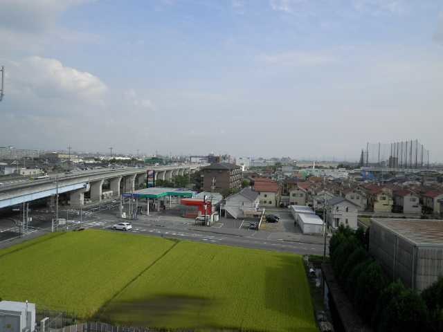 摜
