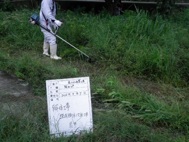 摜