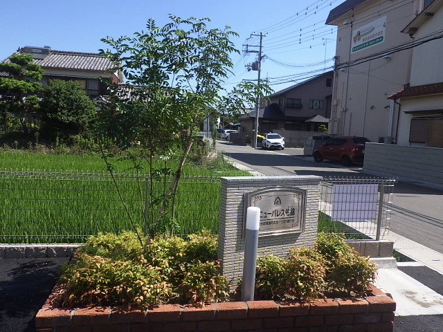 摜