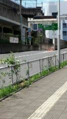 新都心出入口IC