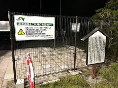 金成PA