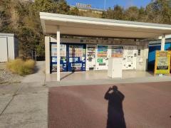 緑PA